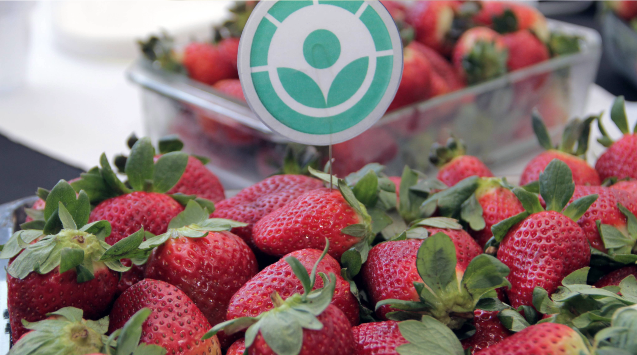 Calidad de alimentos 