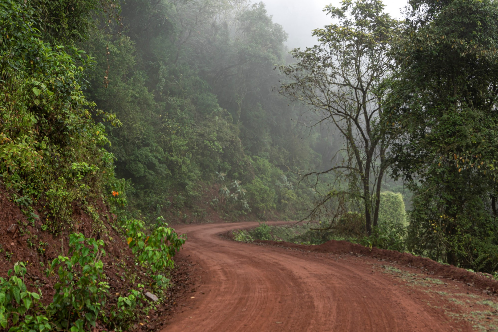 La región fue objeto de la ocupación humana. Cali