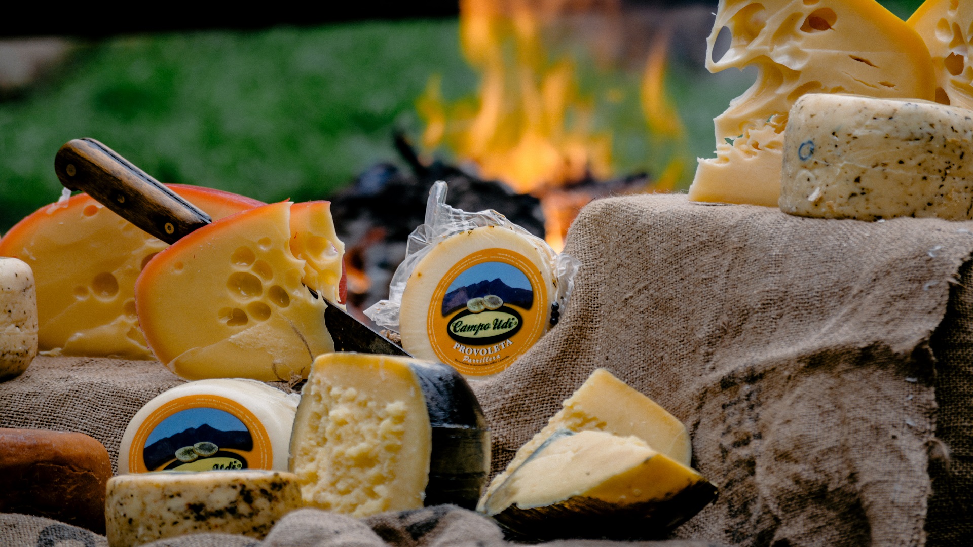 Producción de quesos Texto alternativo 4