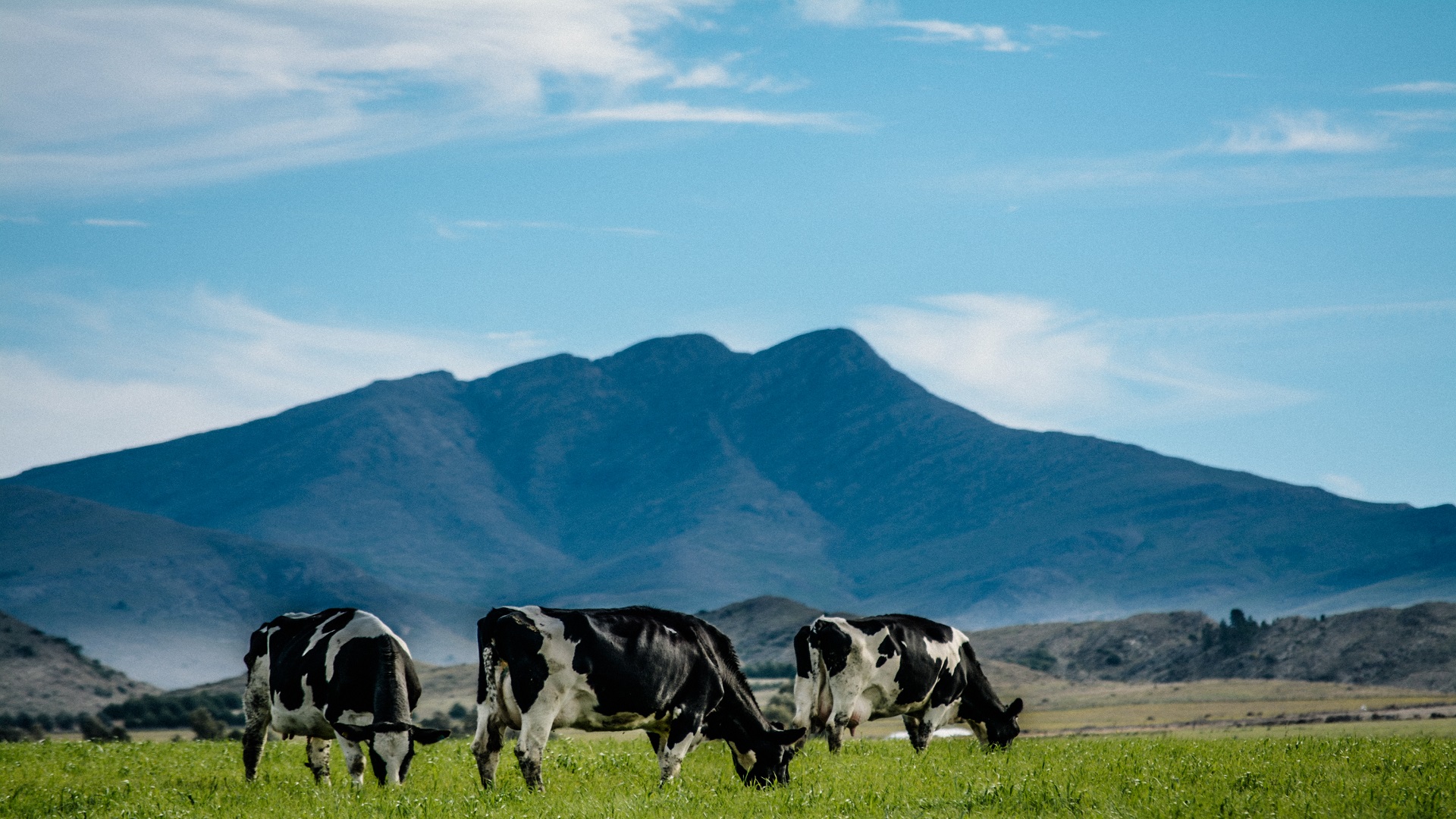 Paisaje rural Texto alternativo 3