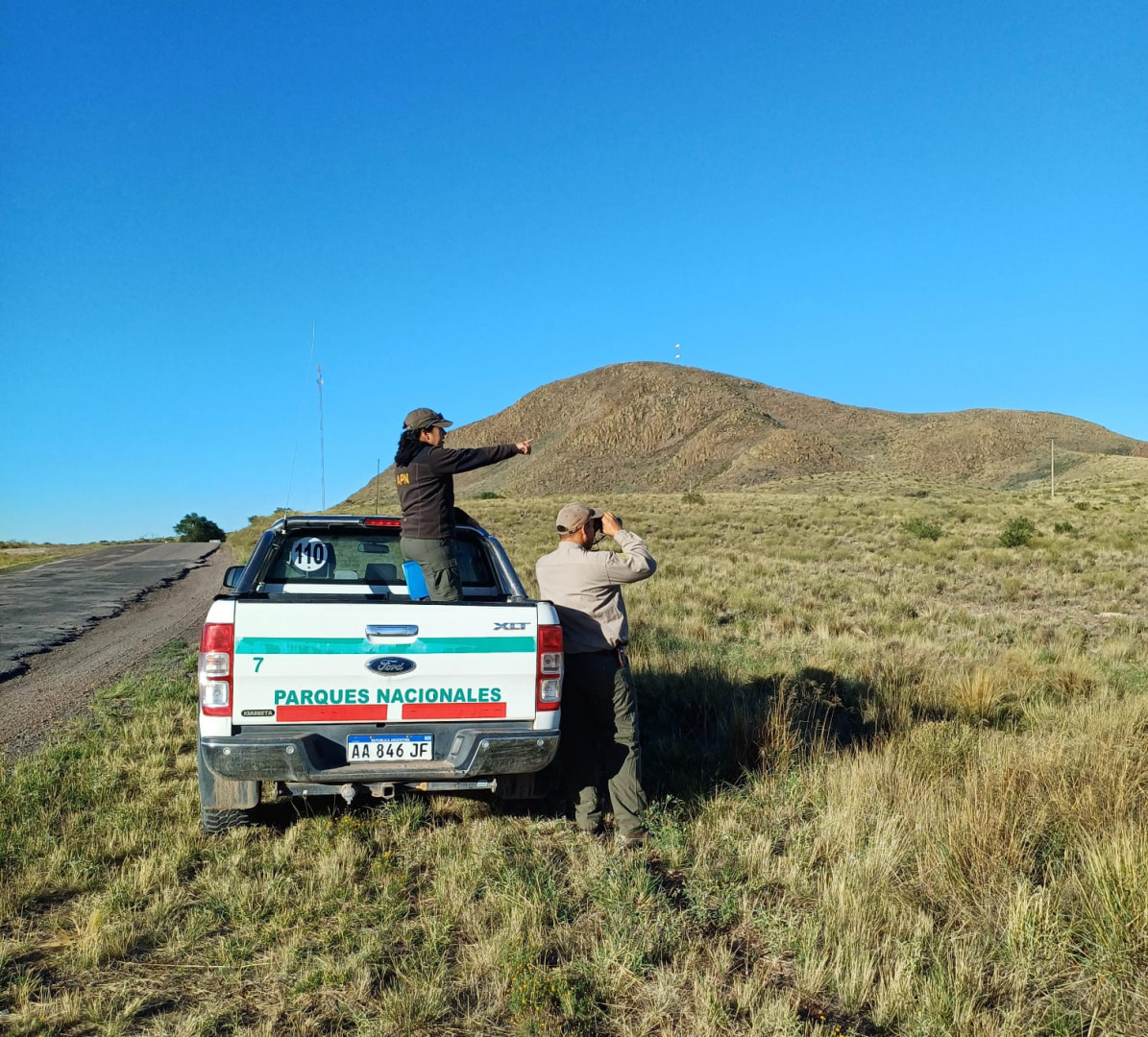 Personal de Parques Nacionales durante el monitoreo.