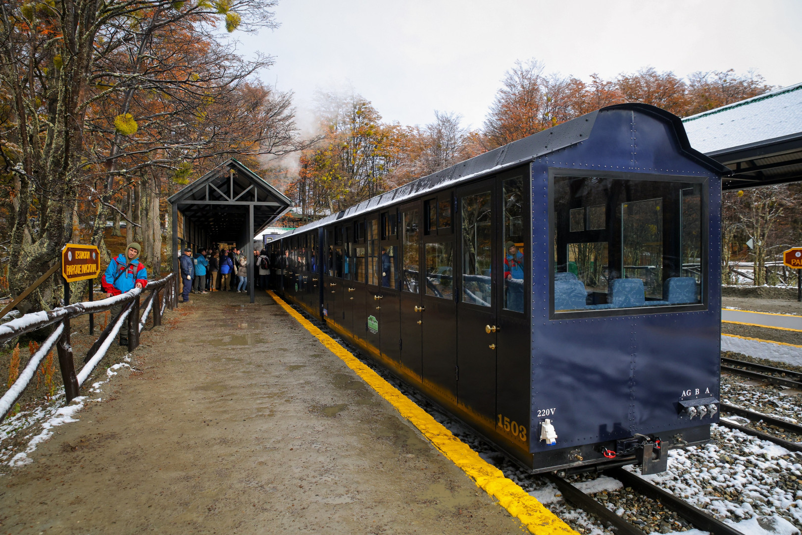 El tren recorre el interior del área protegida.