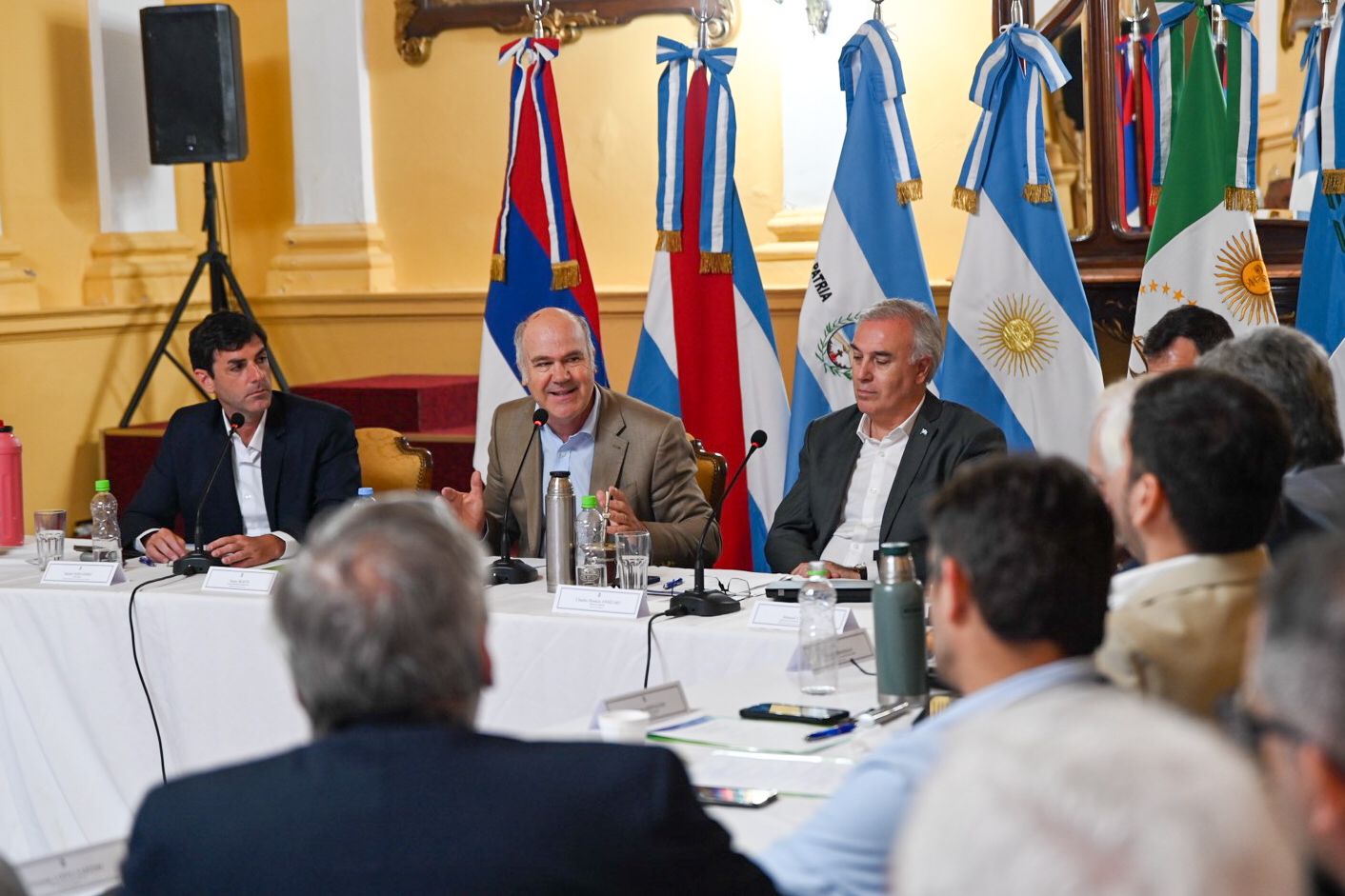 Consejo Federal Agropecuario: RIGI, trazabilidad electr&oacute;nica y financiamiento, los ejes de la primera reuni&oacute;n en el NEA