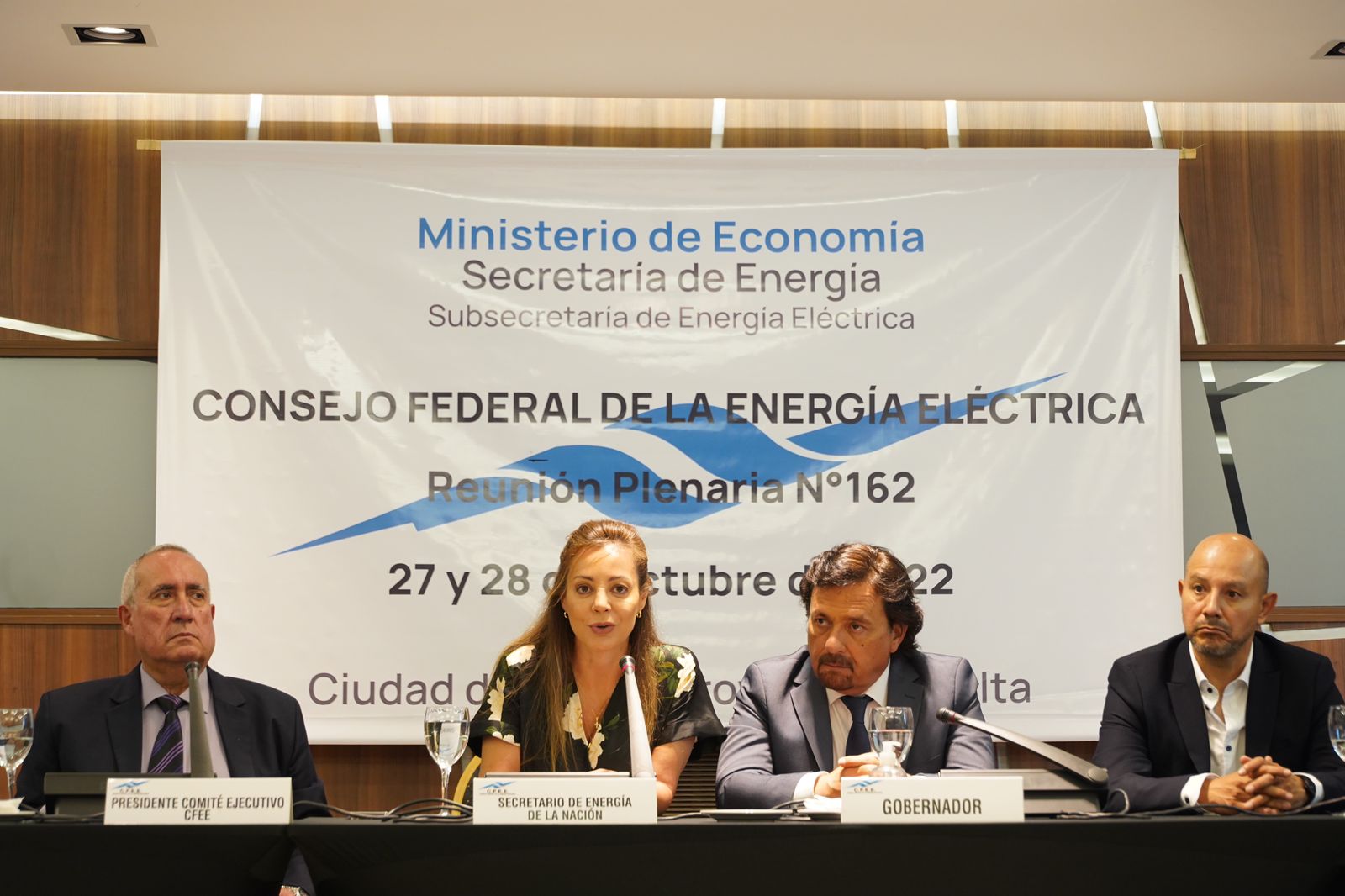 Royon y Sáenz encabezaron el encuentro del Consejo Federal de Energía Eléctrica