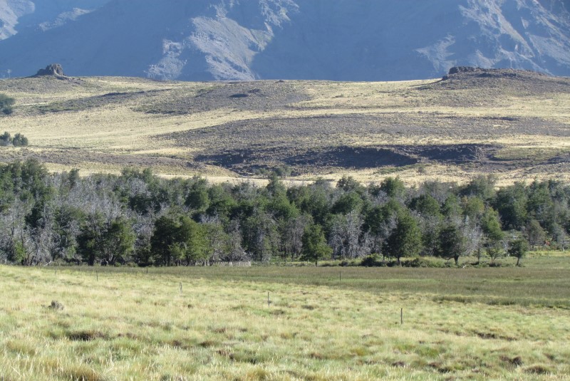 Aportes para repensar las producciones en la norpatagonia