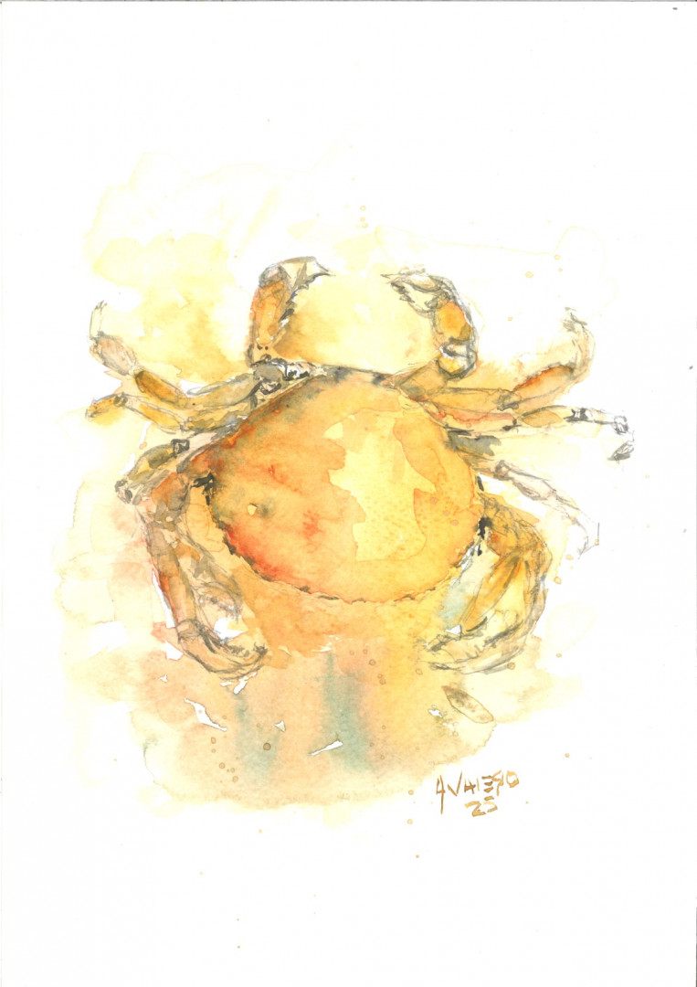 “Alegoría de una isla. Arte contemporáneo sobre el mar que la define”, en la Casa Nacional del Bicentenario. “Alegoría de una isla. Arte contemporáneo sobre el mar que la define”, en la Casa Nacional del Bicentenario.