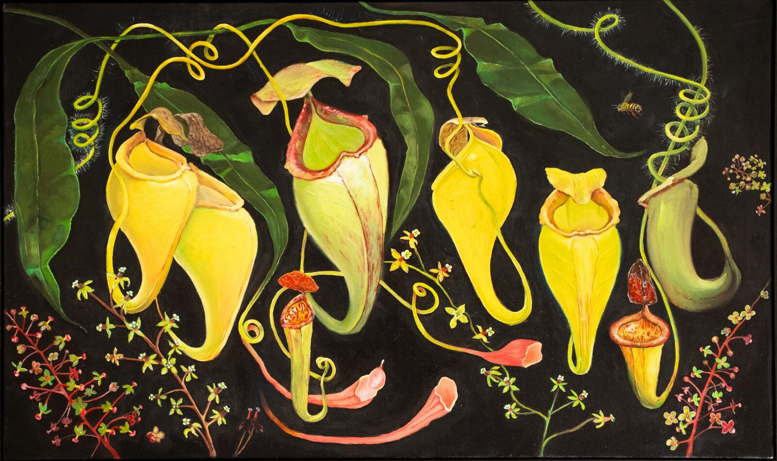 "Ciclos silenciosos. Los balances de la quietud", en la Casa Nacional del Bicentenario.