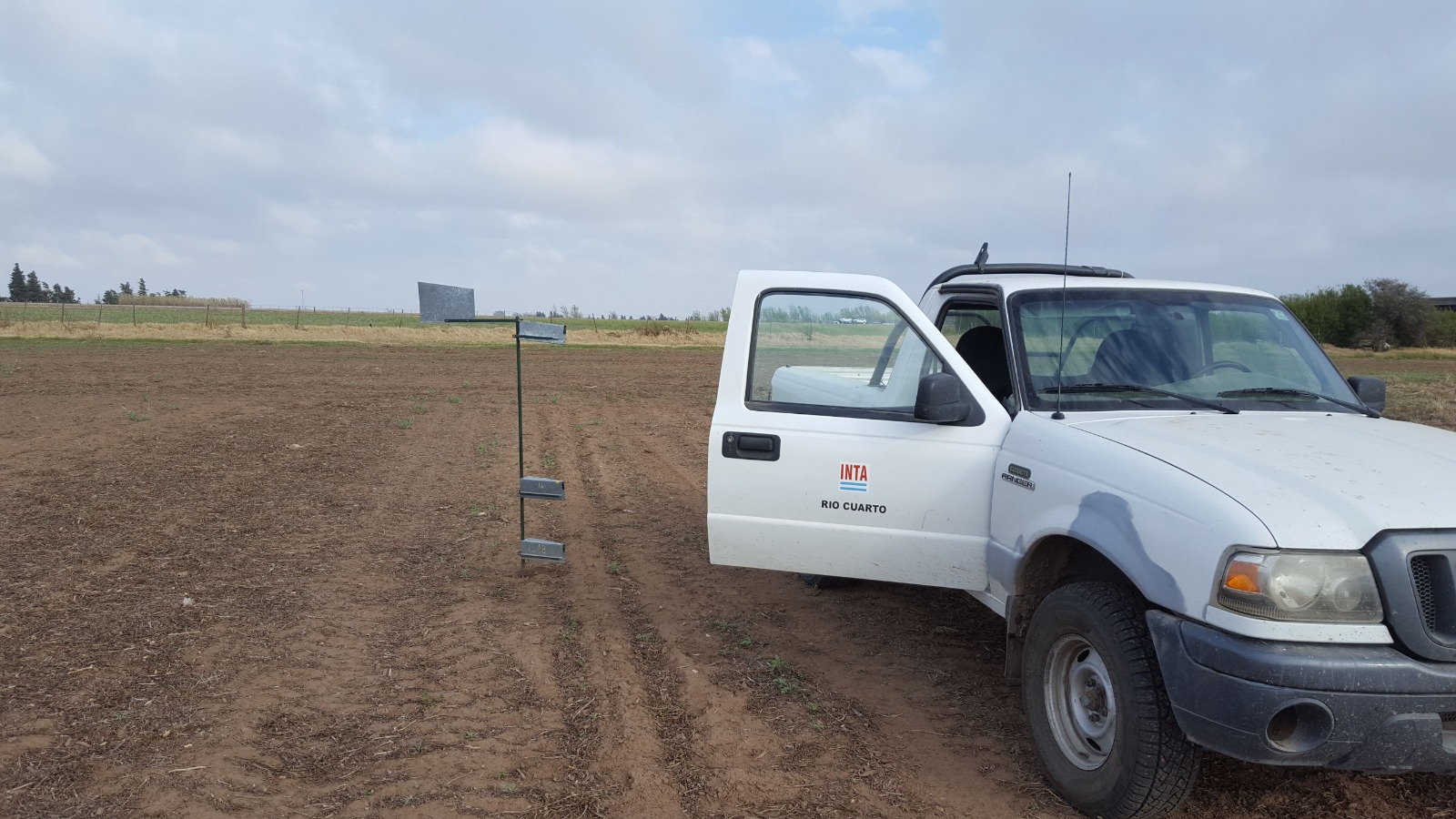 Cultivos de cobertura para mitigar la erosión del viento