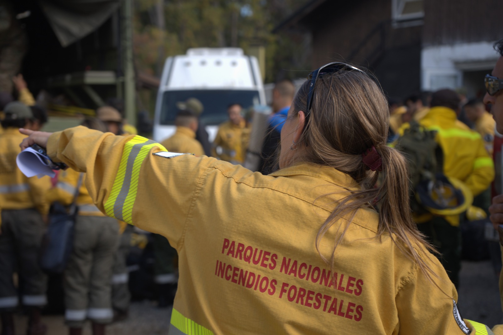 Combate de incendio en Parque Nacional Los Alerces