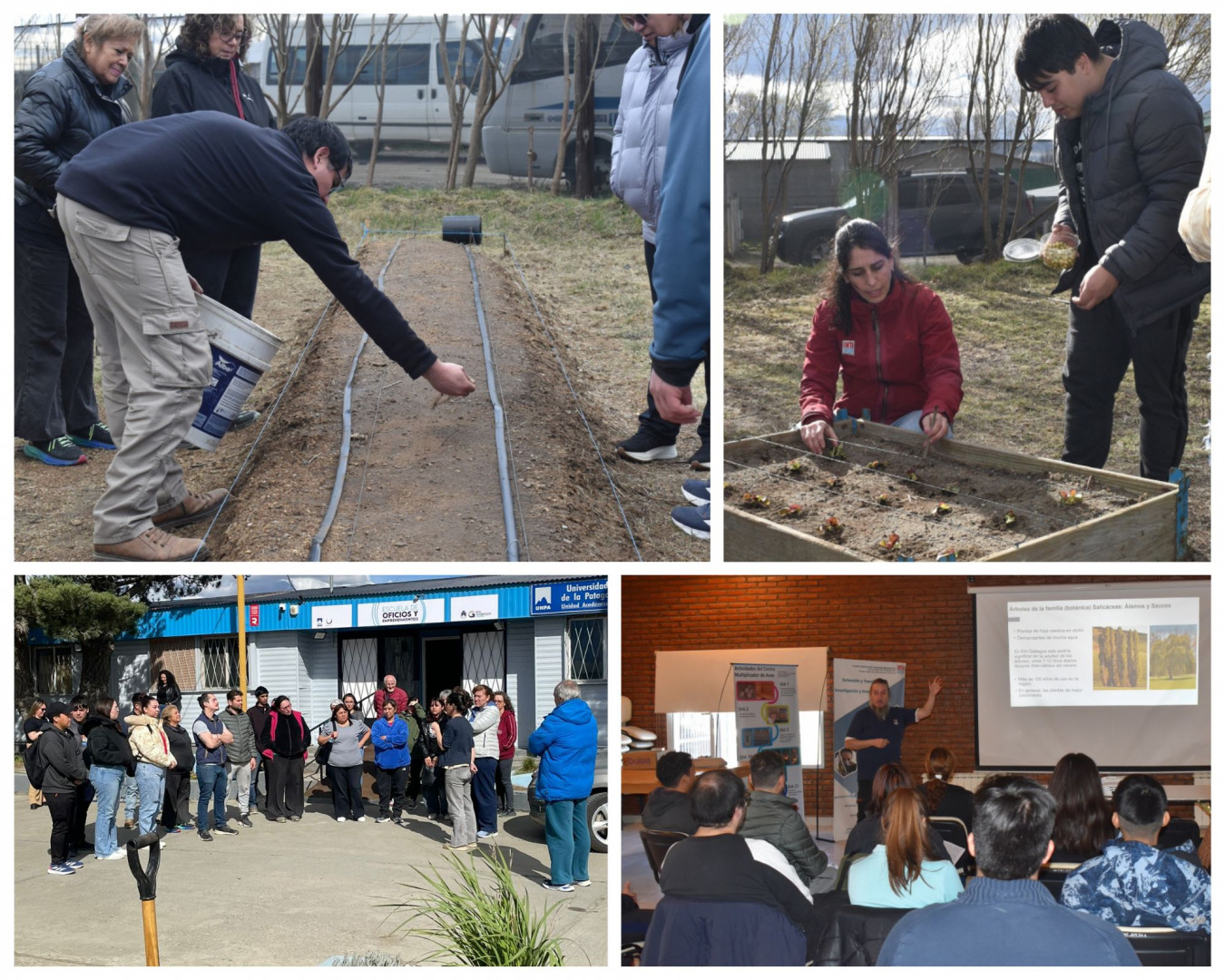 Los talleres, coordinados desde la Escuela municipal abordaron temas como la producción de árboles a partir de estacas, huerta agroecológica y jardinería y sistema de protección de cultivos para las huertas (construcción de microtúneles y recorridas de invernaderos).