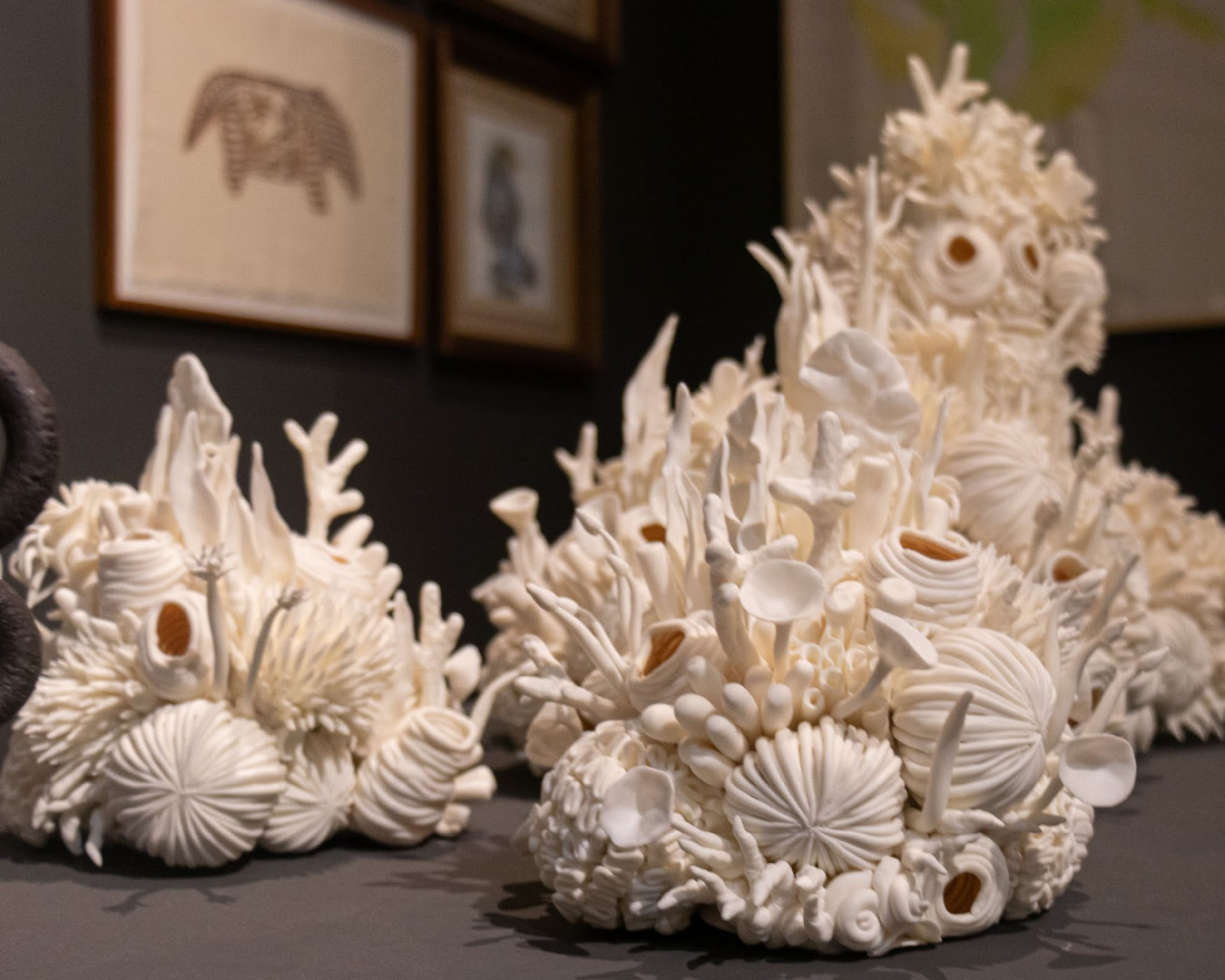 "Una casa. La casa. Lo doméstico deviene territorios" puede visitarse en la Casa Nacional del Bicentenario. Una casa. La casa puede visitarse en el Casa Nacional del Bicentenario