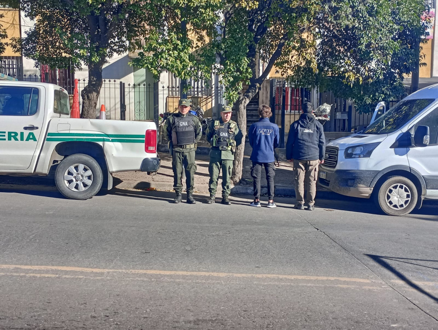 Allanaron un domicilio y encontraron 172 arañas, un escorpión y una serpiente