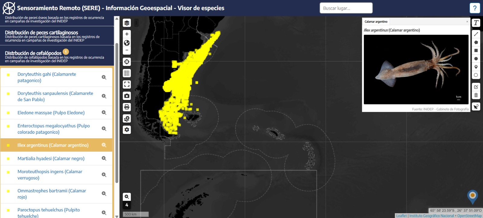 cuerpo geovisor 2
