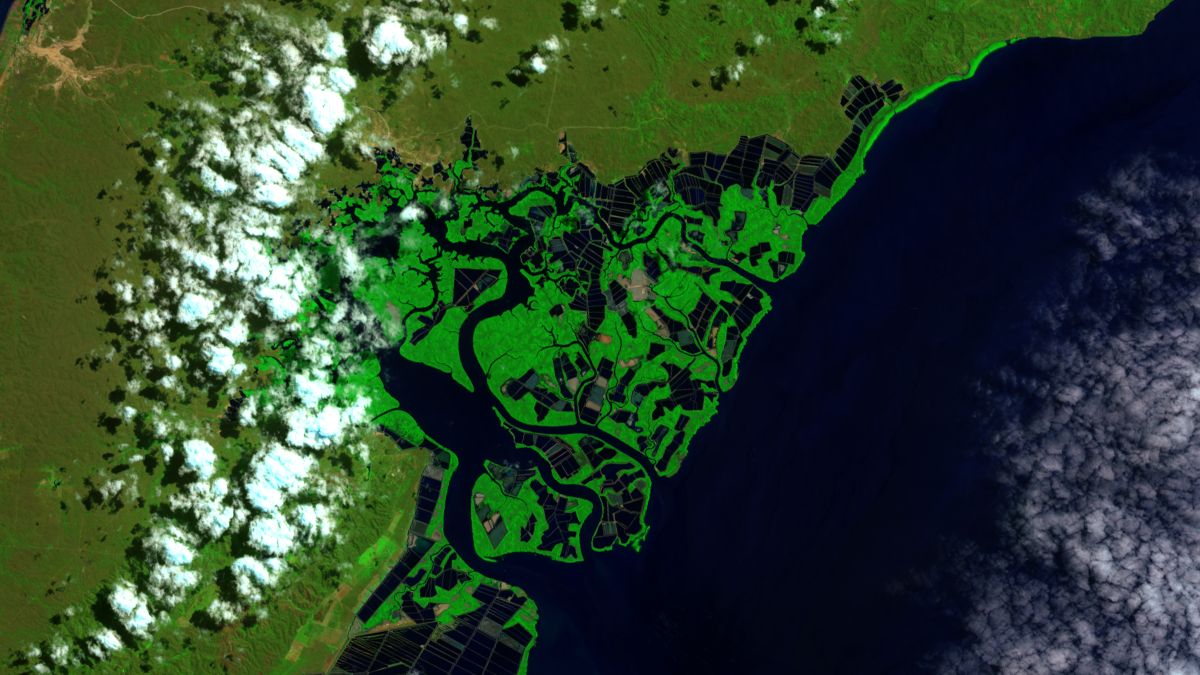Cultivo de Camarones, Ecuador - Landsat 8 OLI - 2 de Agosto de 2014