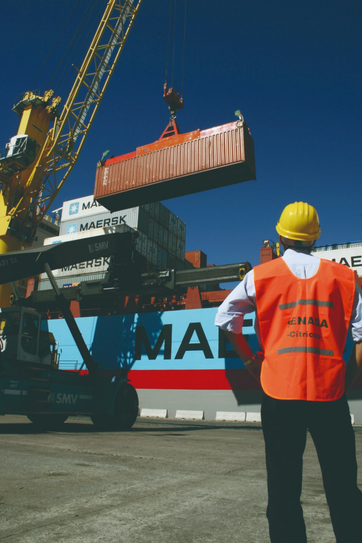 En los últimos diez meses se habilitaron 30 mercados para exportar más de 40 productos argentinos