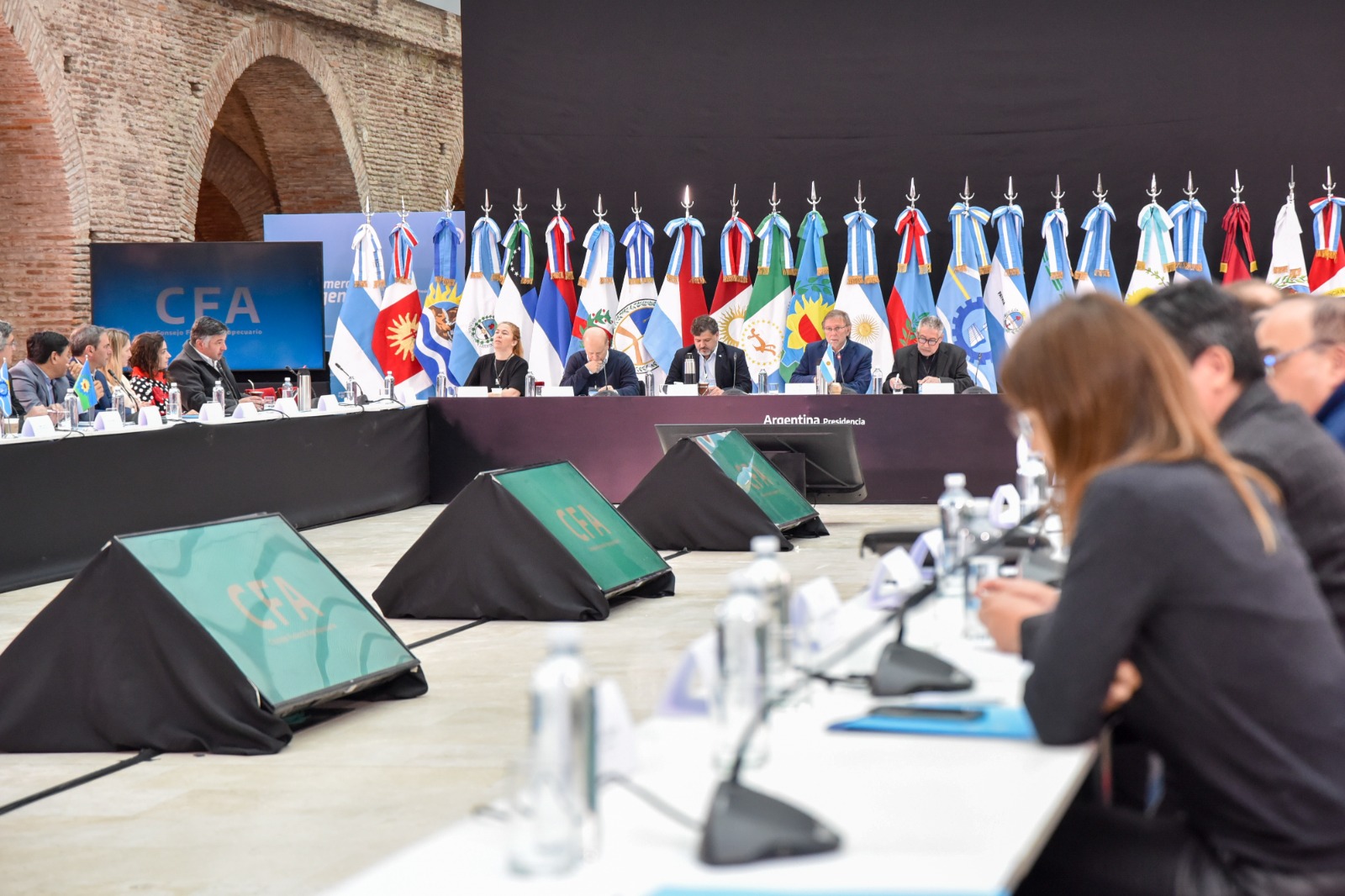 Bahillo en el CFA: "Las medidas buscan dar un marco de estabilidad a los productores y a las provincias"
