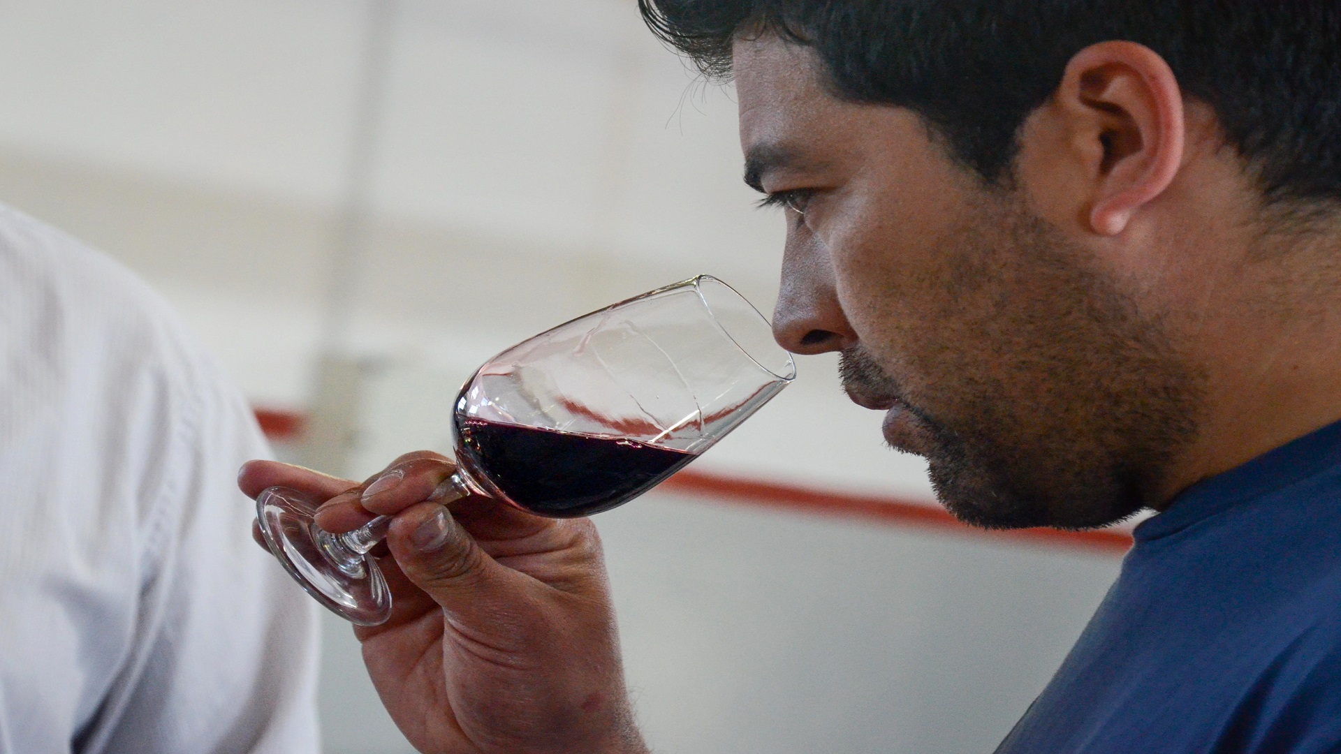 Degustación vino riojano