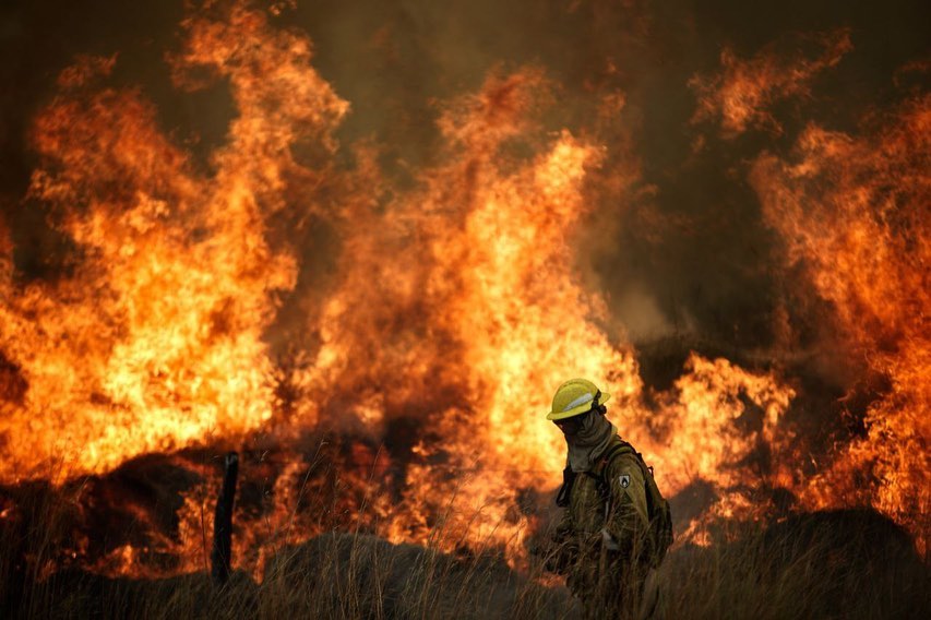 dia_internacional_combatientes_forestales_encabezado