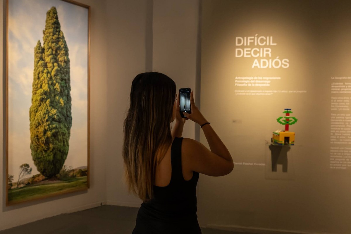 Visita guiada por la exposición "Difícil decir adiós", en el Centro Cultural Borges.