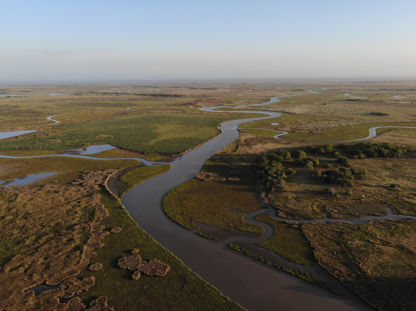 Declarado Sitio Ramsar por la importancia internacional de sus humedales. PN Campos del Tuyú.
