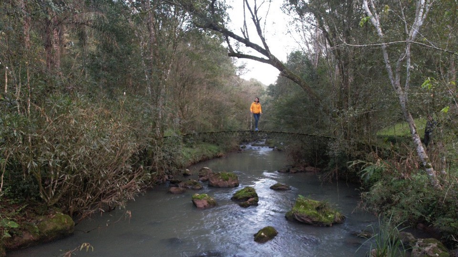 Puente sobre arrroyo en Campo Ramón