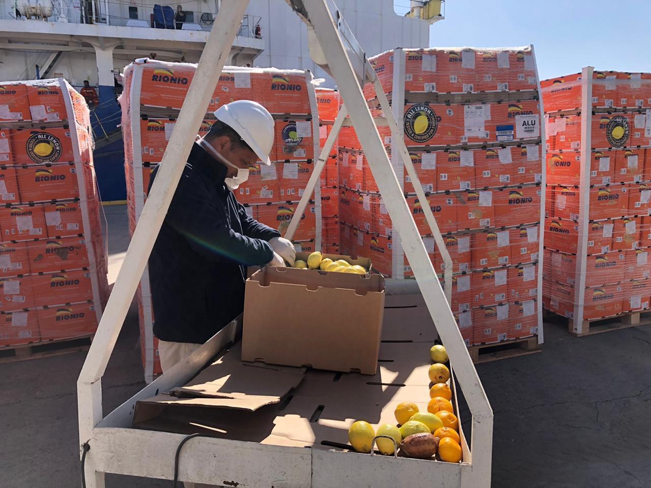 Primera exportación de frutas frescas cítricas