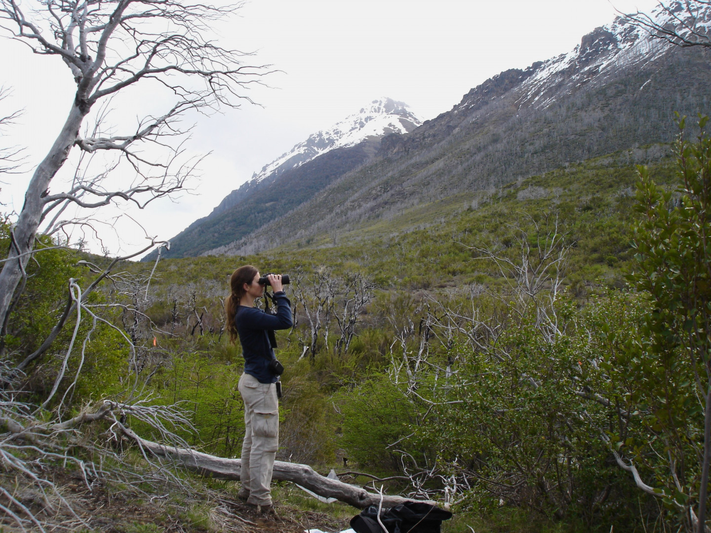 La RPF es un proceso que busca detener, compensar o mitigar la pérdida y degradación de bosques (Foto Laura Cavallero) La RPF es un proceso que busca detener, compensar o mitigar la pérdida y degradación de bosques (Foto Laura Cavallero)