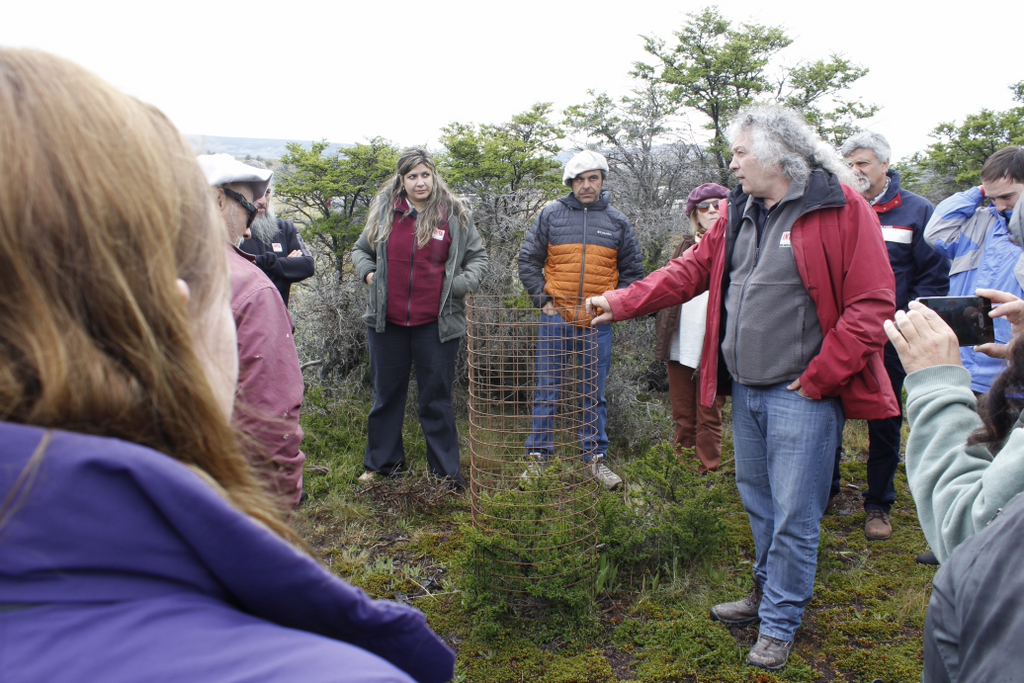 Sobre el trabajo en **La Conversada**, detalló el recorrido técnico realizado: Se visitó el sitio MBGI con protectores de renovales de ñire.