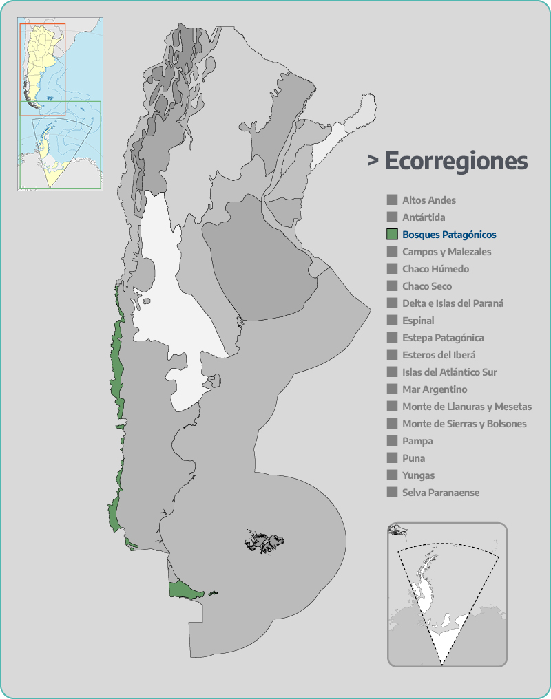 Ecorregión Bosques Patagónicos