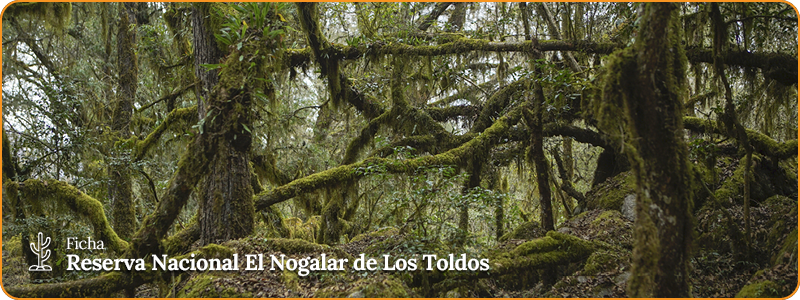 Encabezado ficha - RN El Nogalar de Los Toldos