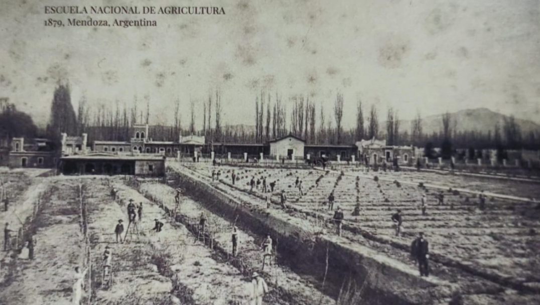 Escuela Nacional de Agricultura, Mendoza (1879)