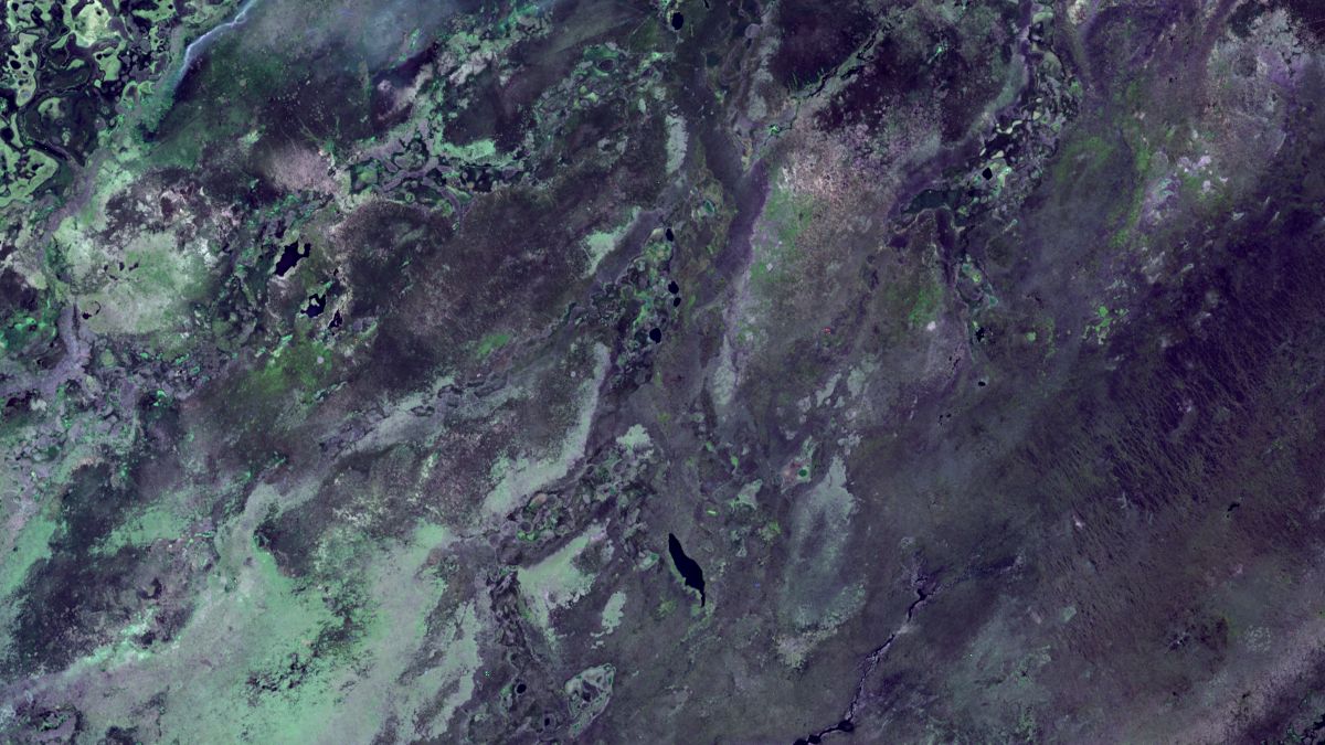 Esteros del Iberá - LandSat-8 OLI - 12 de Mayo de 2015