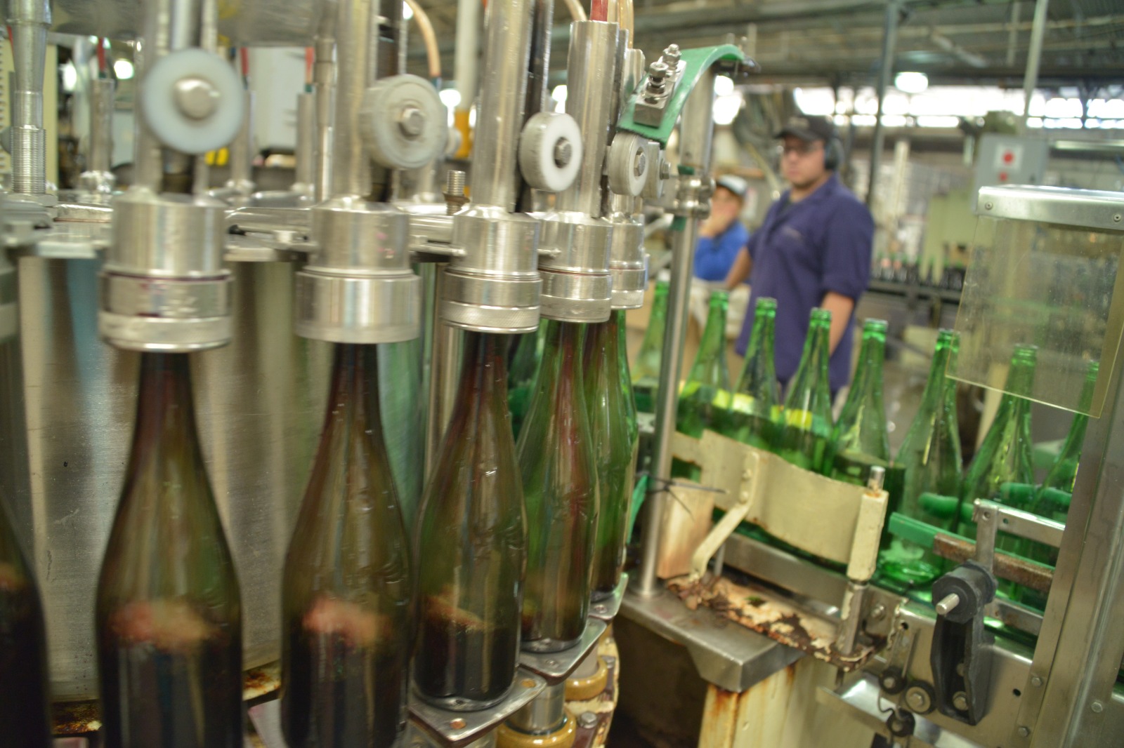 Economías regionales: Un segmento productivo que suma valor a la producción, genera empleo y consolida su posicionamiento en el mundo
