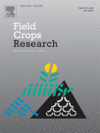 Glycine max; Yield Components; Carácter de Rendimiento; Seed Filling; Hinchamiento de la Semilla; Thinning; Aclareo; Soja; Soybeans; Critical Period; Source-sink Limitation