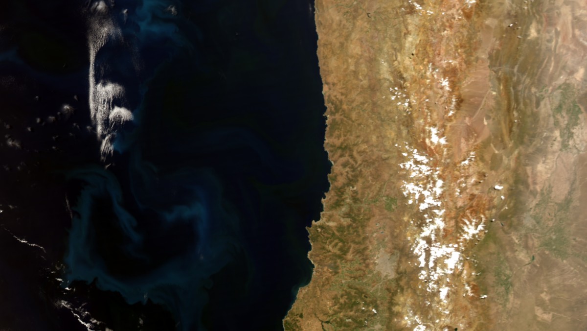Fitoplancton en el Mar de Chile – Aqua MODIS – 20 de Diciembre de 2011