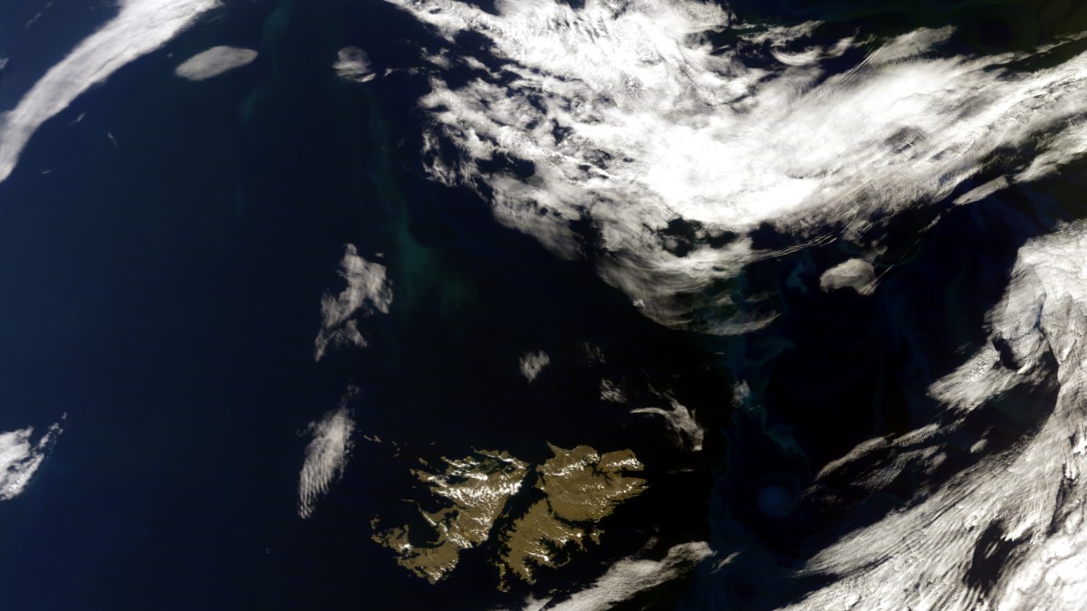 Fitoplancton en el Mar Argentino – Terra MODIS – 7 de Diciembre de 2011