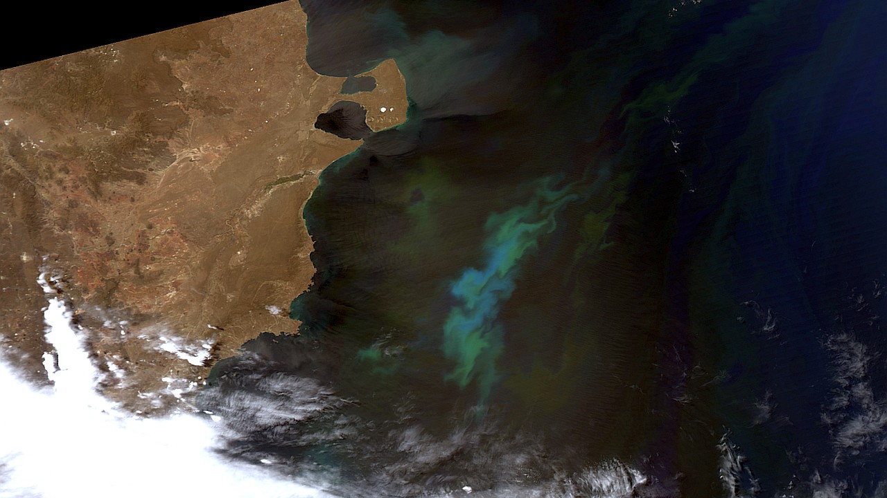 Fitoplancton en el Mar Argentino, Aqua MODIS, 29 de octubre de 2012