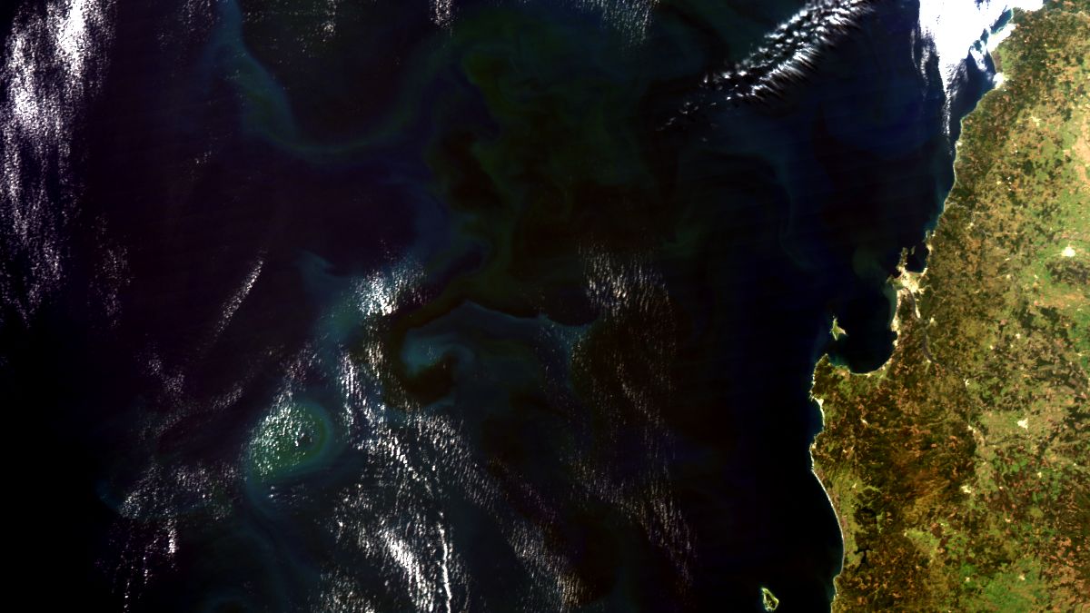Fitoplancton en el Mar de Chile - Aqua MODIS - 6 de Octubre de 2013