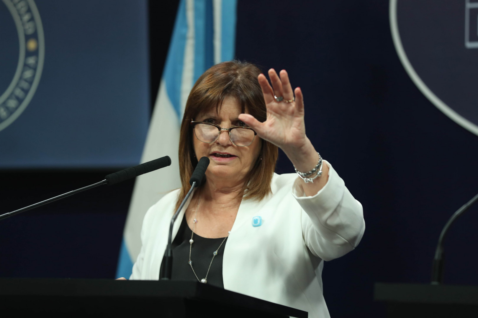 La Ministra Bullrich y el Ministro Petri brindan una conferencia de prensa en Casa Rosada La Ministra Bullrich y el Ministro Petri brindan una conferencia de prensa en Casa Rosada
