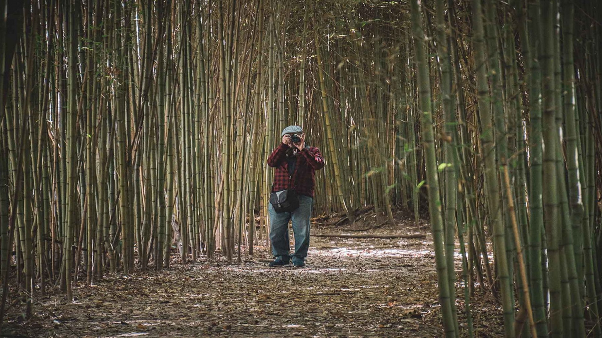 Avistaje de aves en 2da sección de islas del Delta 