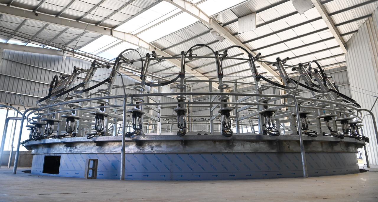 La lecher&iacute;a argentina acelera su transformaci&oacute;n: C&oacute;rdoba incorpor&oacute; tambos automatizados con apoyo del BICE