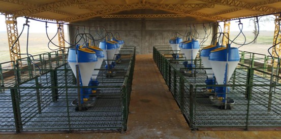 Nuevo galpón experimental en la Unidad Demostrativa Agrícola Porcina del INTA Marcos Juárez