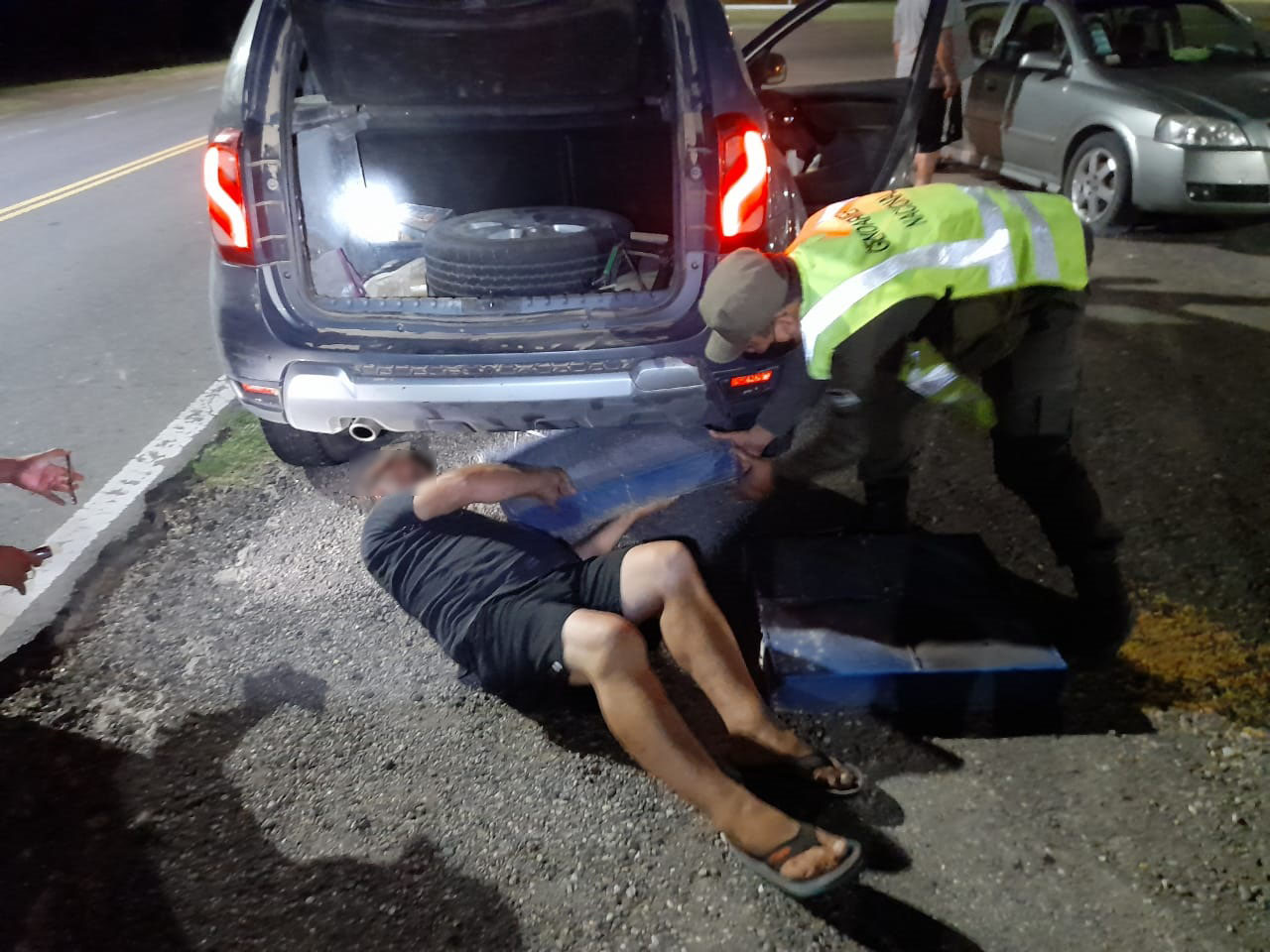 Gendarmería rescata más de 100 ejemplares de loro hablador Gendarmería rescata más de 100 ejemplares de loro hablador