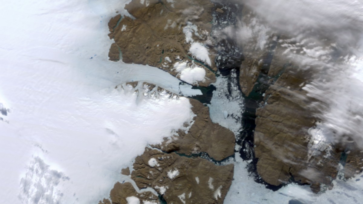 Glaciar Petermann, Groenlandia - Terra MODIS - 5 de agosto de 2010