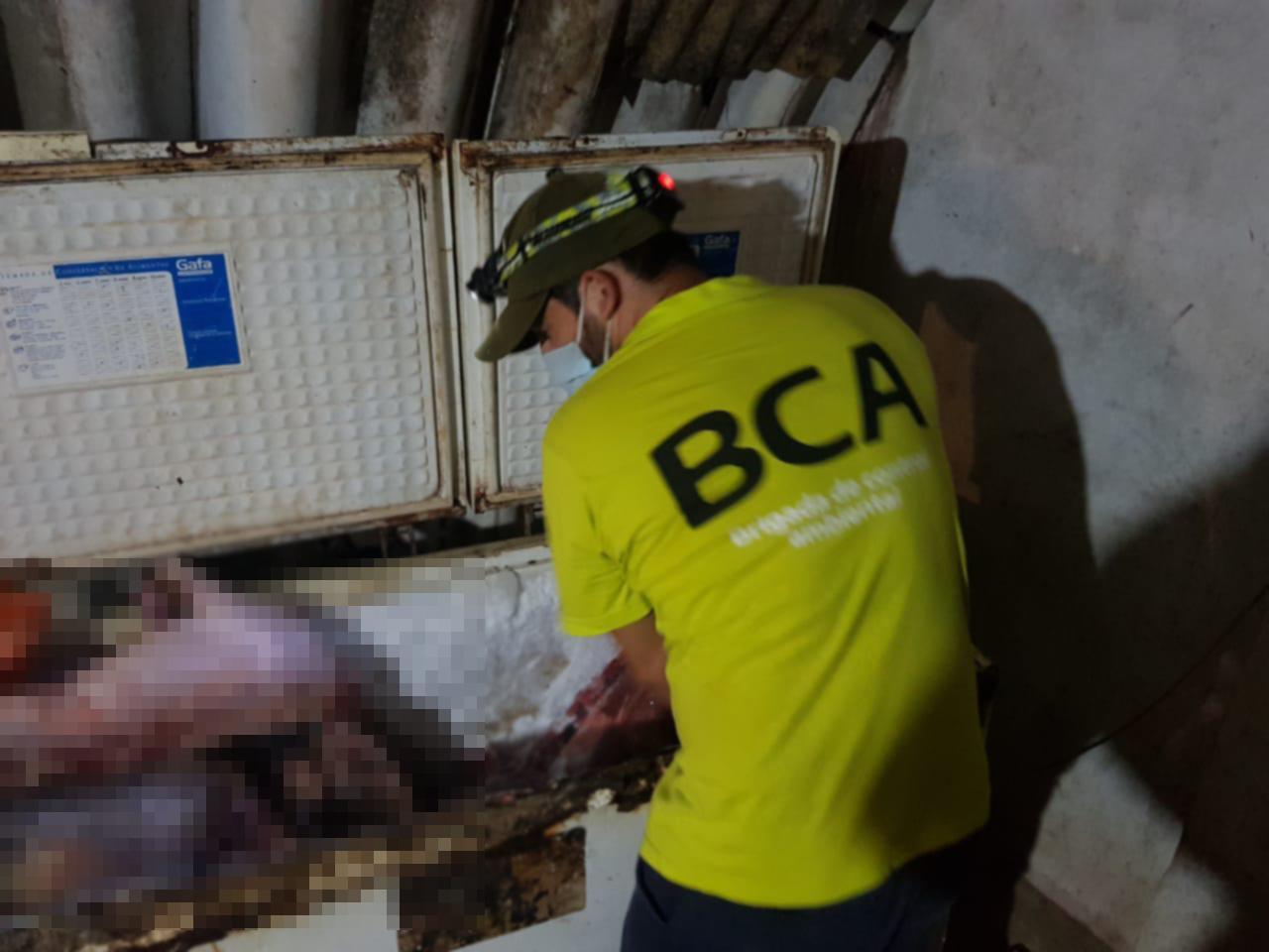 Golpe a la caza furtiva: Ambiente participó del allanamiento en el que se secuestraron 700 kilos de carne de animales silvestres