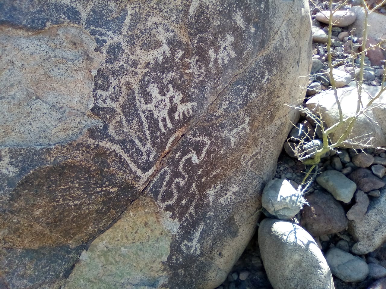 Hallan grabados rupestres considerados patrimonio cultural. Grabados rupestres en San Juan.