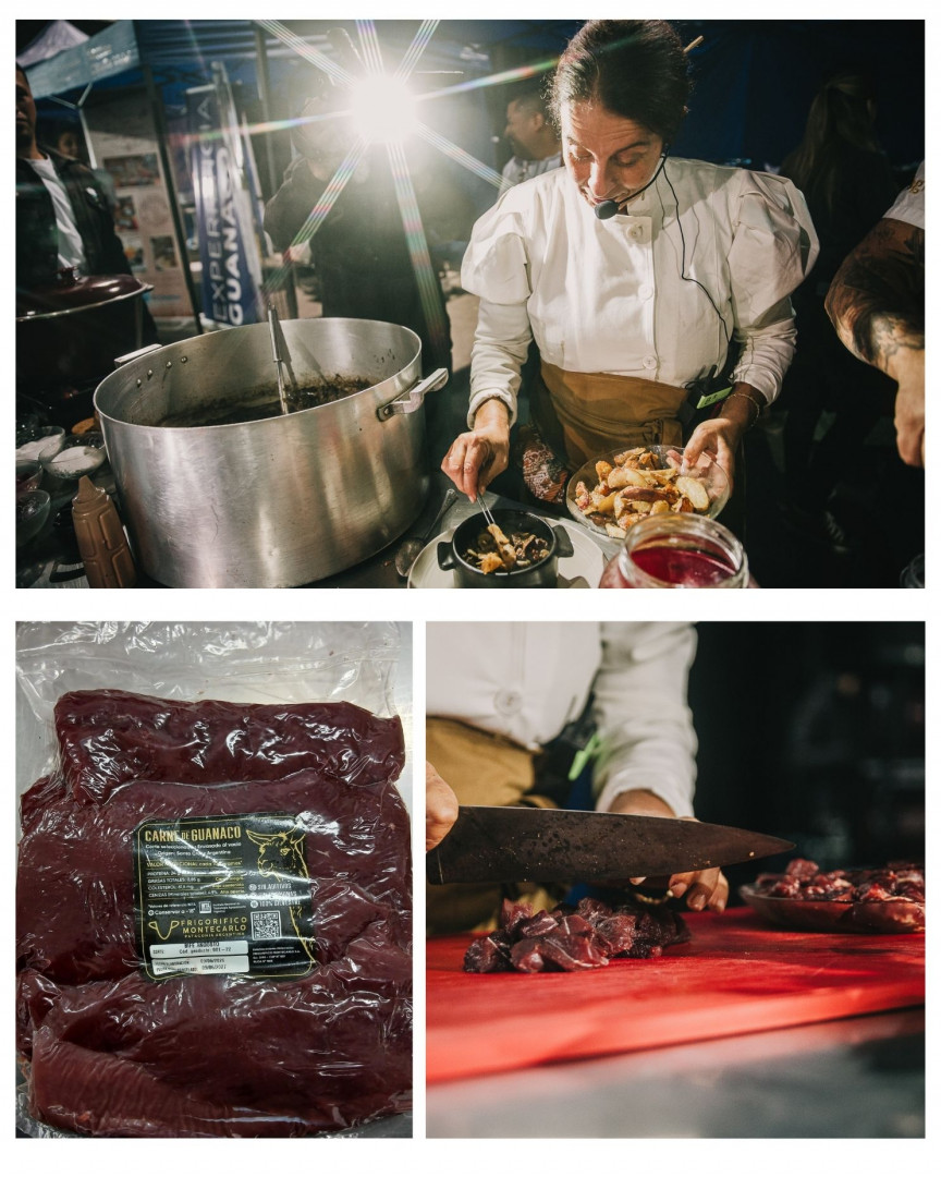 Desde la Fundación ArgenINTA destacaron que la participación permitirá "visibilizar las bondades de la carne de guanaco, sus capacidades técnicas, su versatilidad culinaria y su potencial como producto representativo de la Patagonia" Desde la Fundación ArgenINTA destacaron que la participación permitirá "visibilizar las bondades de la carne de guanaco, sus capacidades técnicas, su versatilidad culinaria y su potencial como producto representativo de la Patagonia"