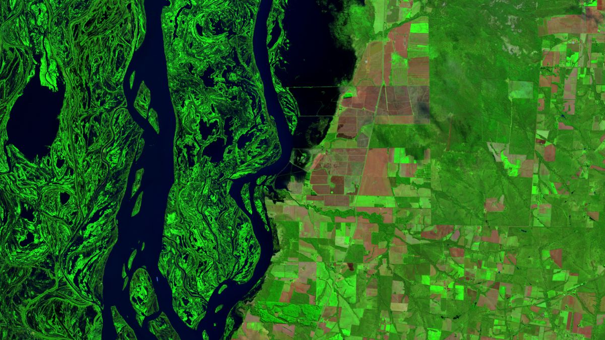 Crecida del Río Paraná - Entre Ríos - Landsat 8 OLI - 3 de Julio de 2014