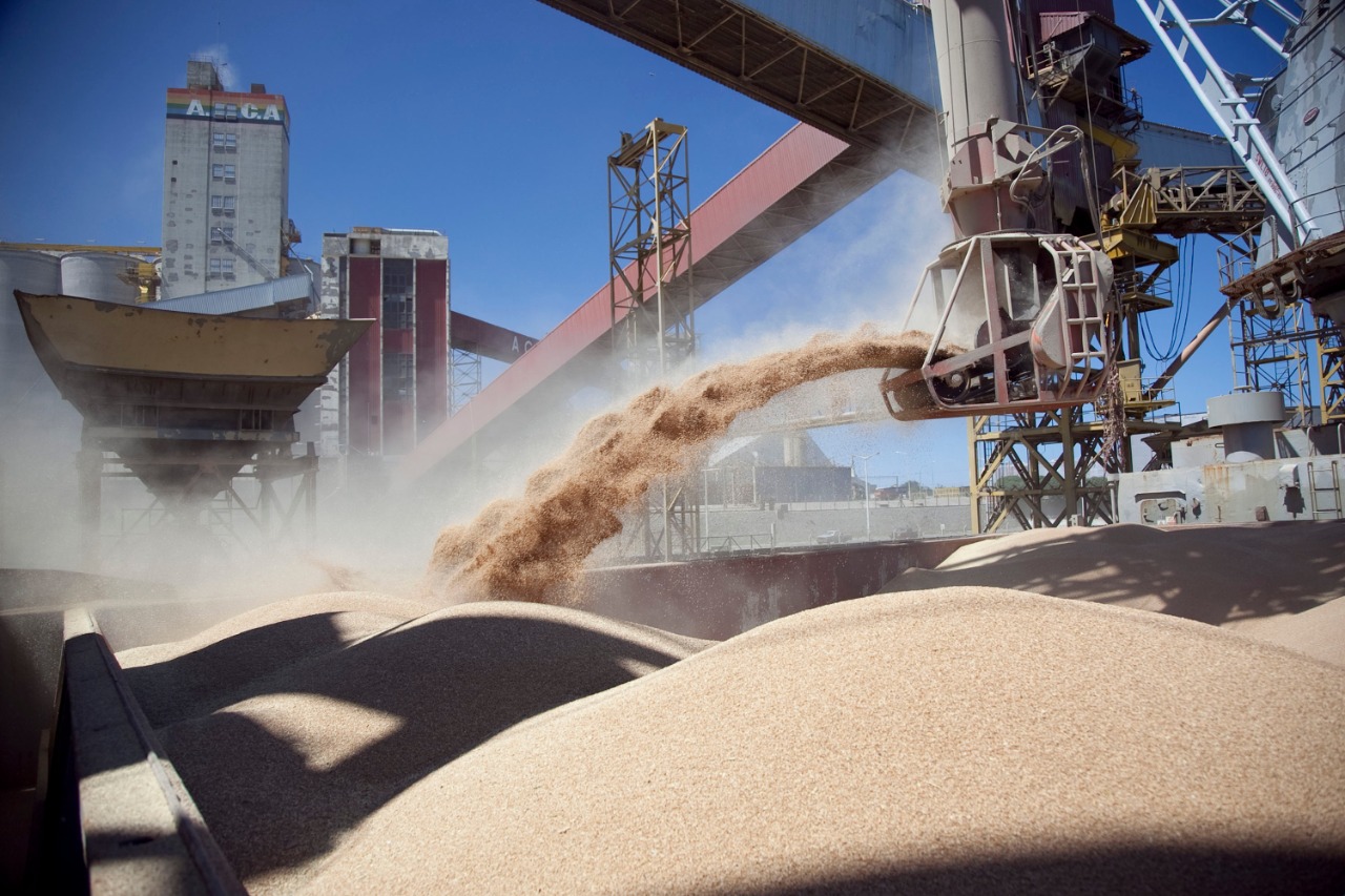 Inscripci&oacute;n de empresas que quieran exportar cebada, soja, ma&iacute;z y sorgo a China