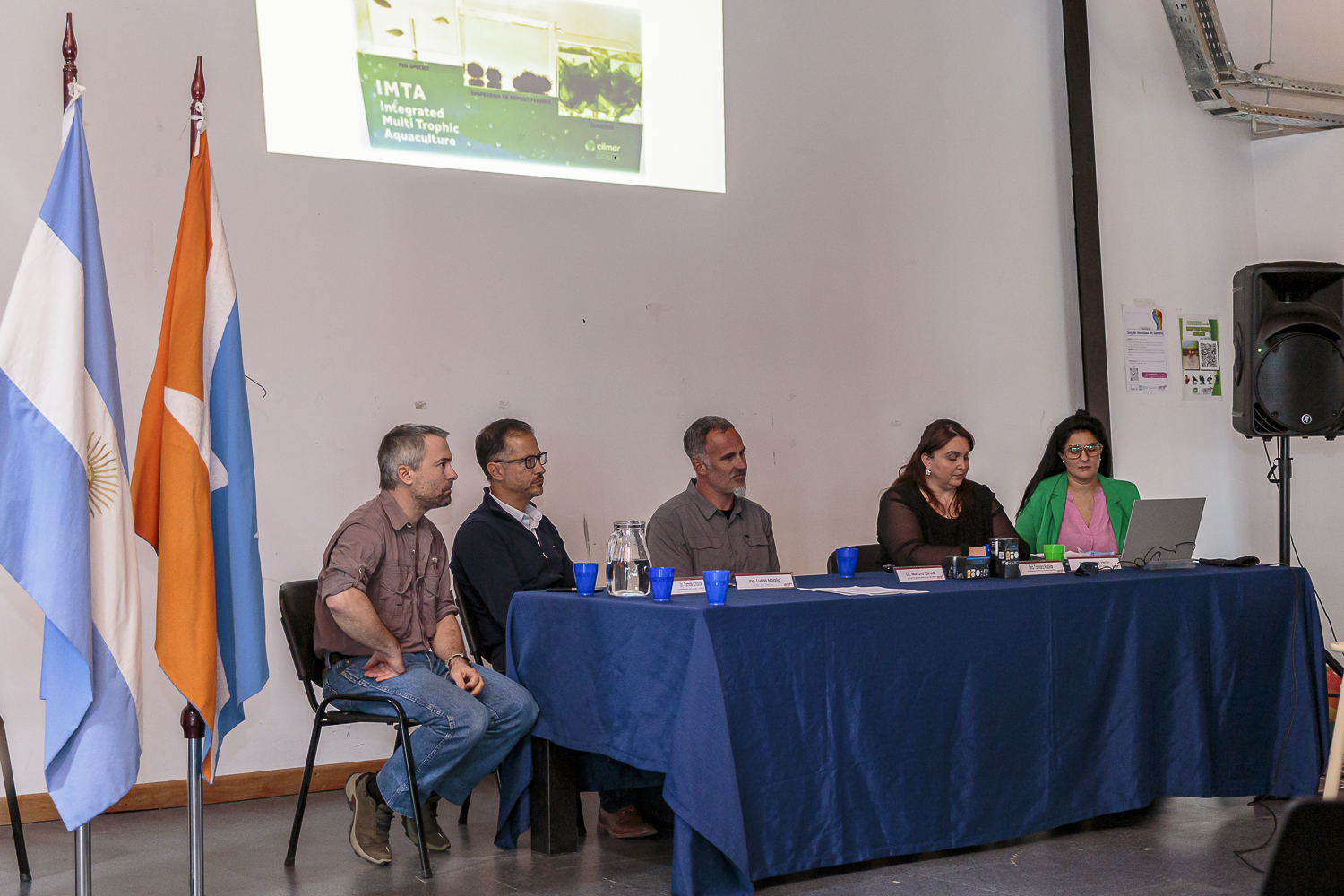 spinedi octubre 2025 tdf